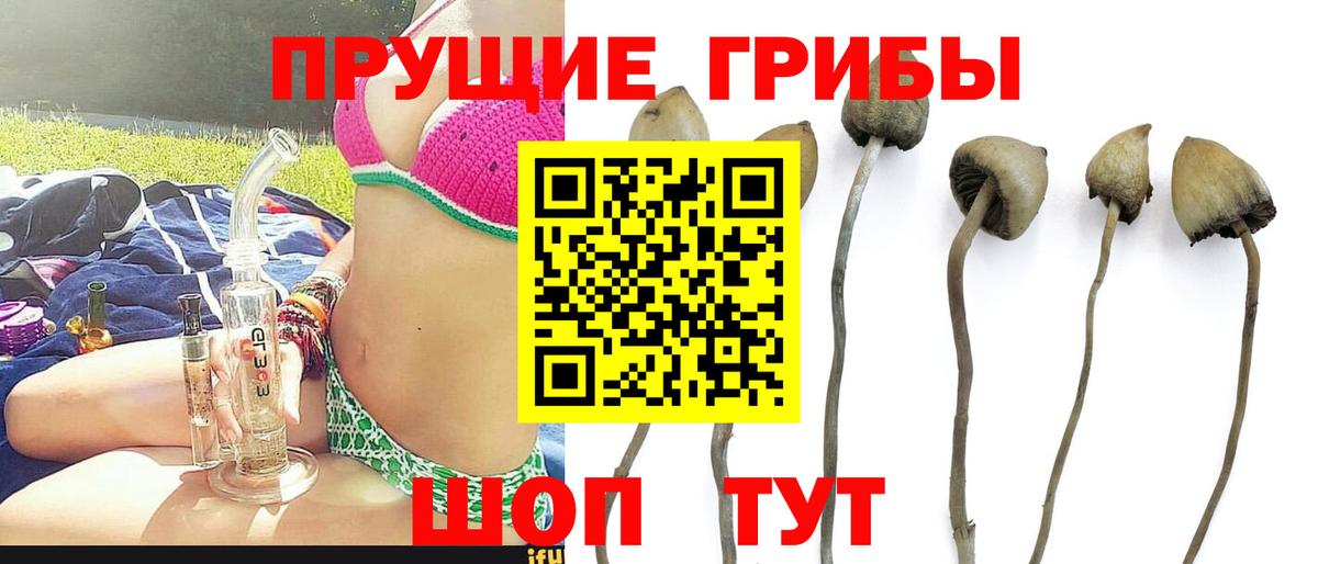 Галлюциногенные грибы мицелий Ленинск-Кузнецкий