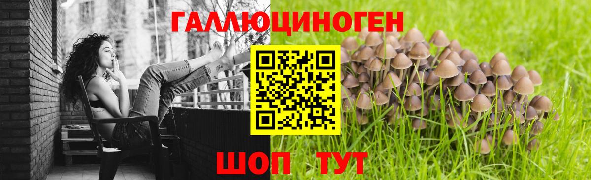 Псилоцибиновые грибы прущие грибы  Ленинск-Кузнецкий  Галлюциногенные грибы ЛСД 