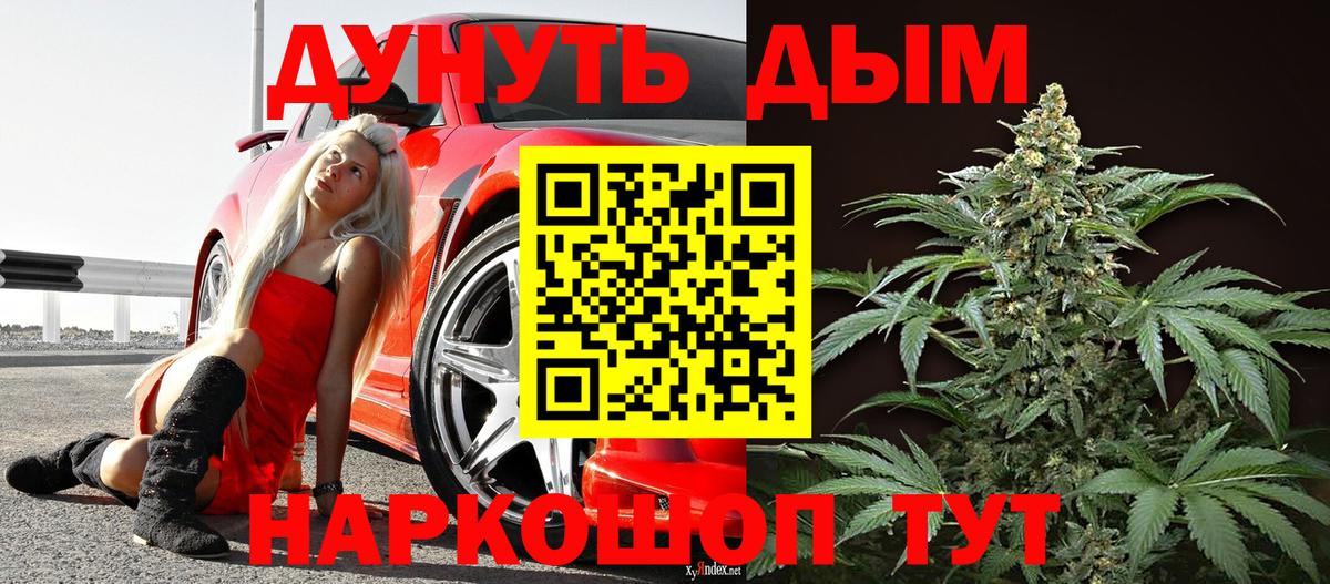 Марихуана сатива Ленинск-Кузнецкий